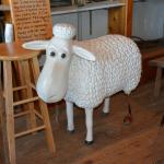 2017OTRA-1_490 (August 24, 2017)